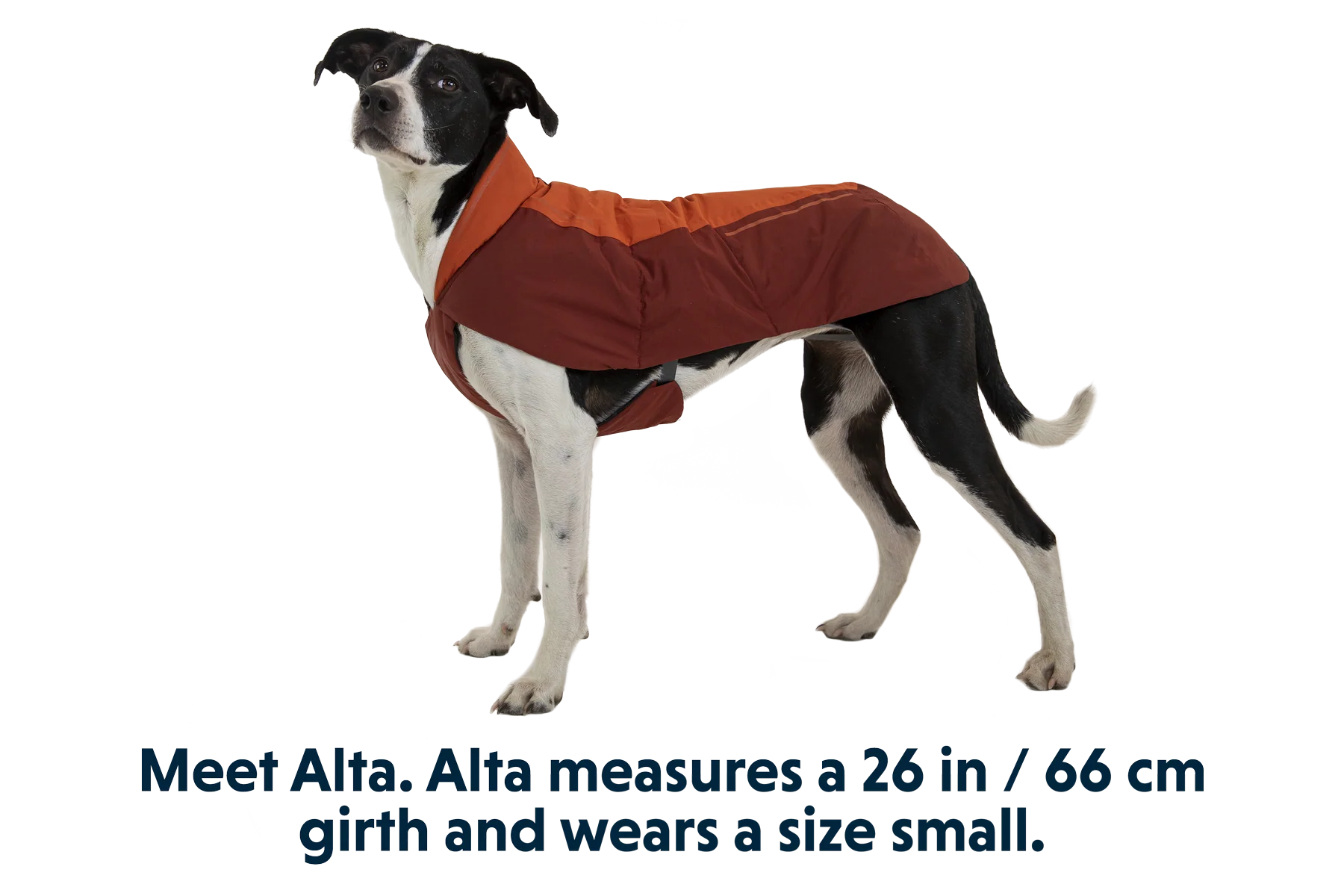 Vert™ Waterproof Insulated Vest - Image 23