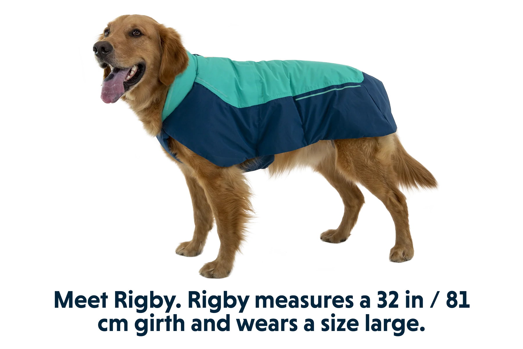 Vert™ Waterproof Insulated Vest - Image 3